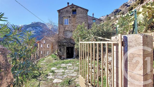 maison à vendre - 6 pièces - 103.0 m2 - ASCO - 202 - CORSE - Century 21 Dary Immobilier