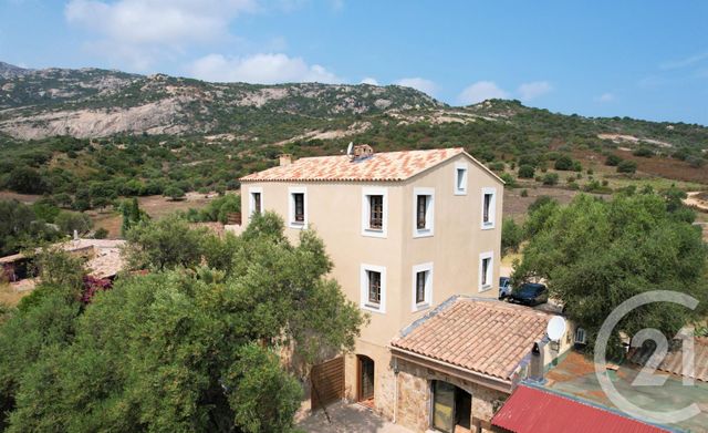 maison à vendre - 12 pièces - 253.98 m2 - CALVI - 202 - CORSE - Century 21 Dary Immobilier