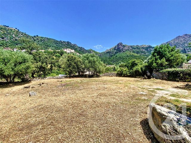 terrain à vendre - 929.0 m2 - ZILIA - 202 - CORSE - Century 21 Dary Immobilier
