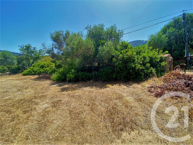 terrain à vendre - 1050.0 m2 - MONTICELLO - 202 - CORSE - Century 21 Dary Immobilier