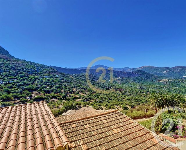 maison à vendre 5 pièces 123.65 m2 CORBARA 202 CORSE