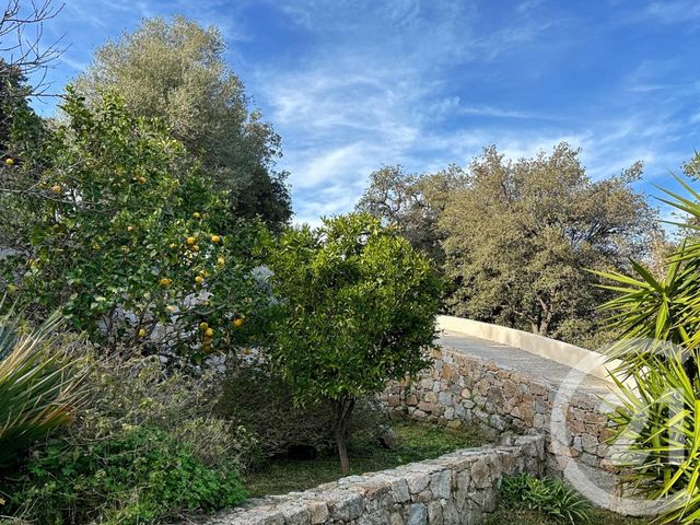 maison à vendre - 9 pièces - 230.0 m2 - MONCALE - 202 - CORSE - Century 21 Dary Immobilier