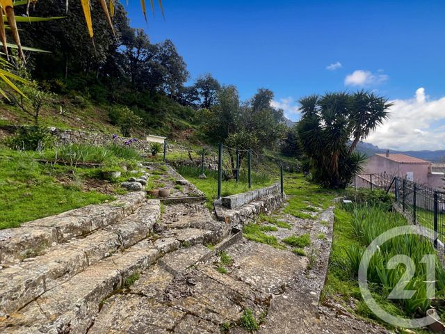 maison à vendre - 6 pièces - 108.08 m2 - ZILIA - 202 - CORSE - Century 21 Dary Immobilier