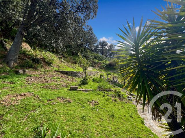 maison à vendre - 6 pièces - 108.08 m2 - ZILIA - 202 - CORSE - Century 21 Dary Immobilier