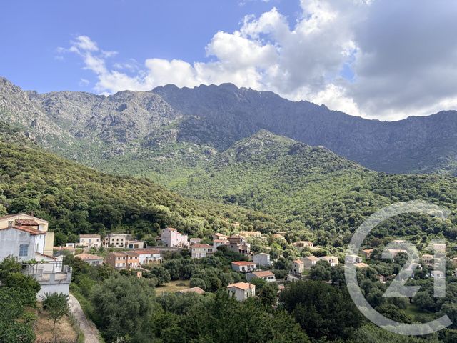 Appartement Studette à vendre - 1 pièce - 18.08 m2 - ZILIA - 202 - CORSE - Century 21 Dary Immobilier