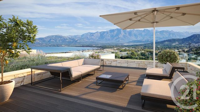 Appartement T2 à vendre - 2 pièces - 48.09 m2 - CALVI - 202 - CORSE - Century 21 Dary Immobilier