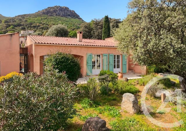 maison à vendre - 7 pièces - 156.5 m2 - CALENZANA - 202 - CORSE - Century 21 Dary Immobilier