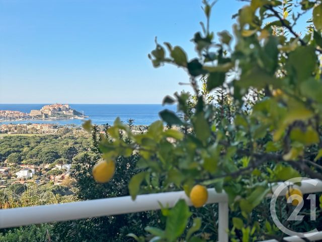 maison à vendre - 20 pièces - 502.0 m2 - CALVI - 202 - CORSE - Century 21 Dary Immobilier