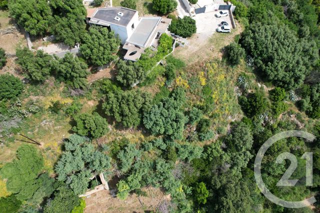 maison à vendre - 3 pièces - 107.8 m2 - BASTIA - 202 - CORSE - Century 21 Dary Immobilier