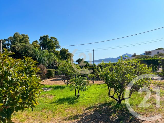 maison à vendre - 5 pièces - 142.84 m2 - CALVI - 202 - CORSE - Century 21 Dary Immobilier