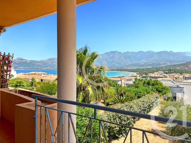 maison à vendre - 4 pièces - 88.36 m2 - CALVI - 202 - CORSE - Century 21 Dary Immobilier