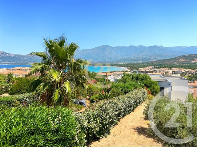 maison à vendre - 4 pièces - 88.36 m2 - CALVI - 202 - CORSE - Century 21 Dary Immobilier
