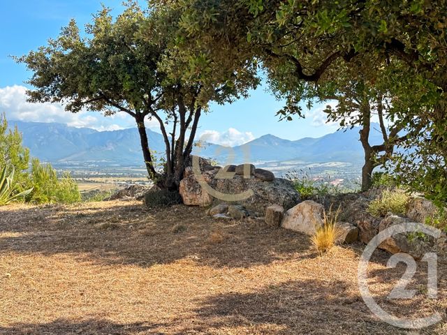 Afficher la photo en grand maison à vendre - 5 pièces - 146.0 m2 - LUMIO - 202 - CORSE - Century 21 Dary Immobilier