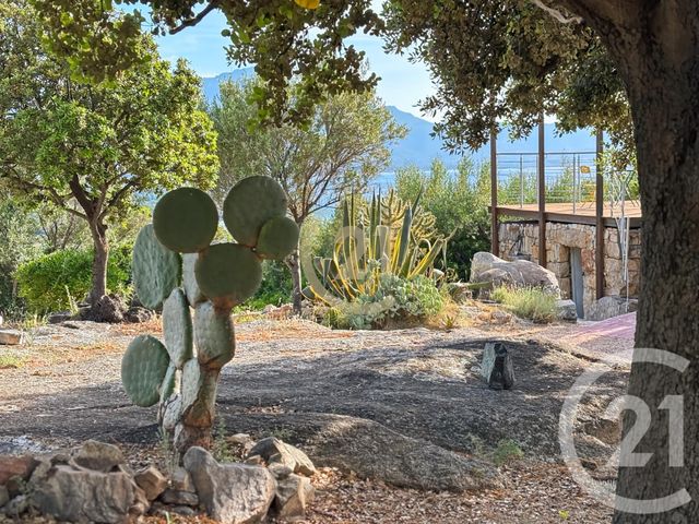 Afficher la photo en grand maison à vendre - 5 pièces - 146.0 m2 - LUMIO - 202 - CORSE - Century 21 Dary Immobilier