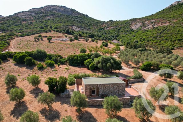 maison à vendre - 6 pièces - 210.39 m2 - CALENZANA - 202 - CORSE - Century 21 Dary Immobilier