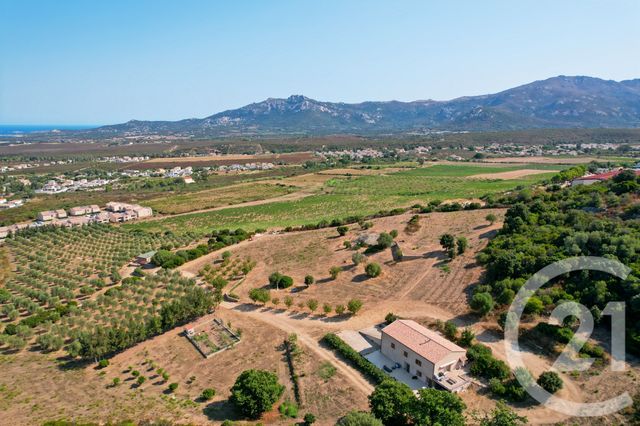 maison à vendre - 6 pièces - 210.39 m2 - CALENZANA - 202 - CORSE - Century 21 Dary Immobilier