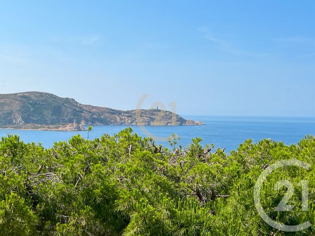Appartement Studio à vendre - 1 pièce - 32.01 m2 - CALVI - 202 - CORSE - Century 21 Dary Immobilier