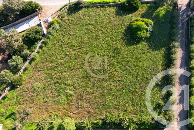 terrain à vendre - 2027.0 m2 - CORBARA - 202 - CORSE - Century 21 Dary Immobilier