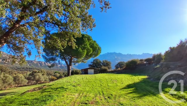 maison à vendre - 6 pièces - 150.0 m2 - MONTEGROSSO - 202 - CORSE - Century 21 Dary Immobilier