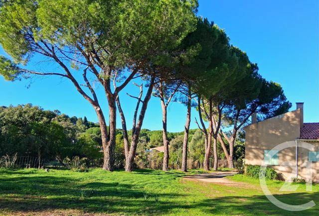 maison à vendre - 6 pièces - 150.0 m2 - MONTEGROSSO - 202 - CORSE - Century 21 Dary Immobilier