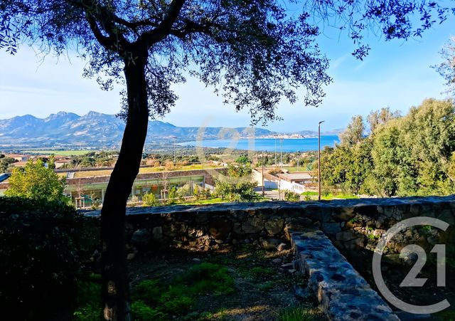 maison à vendre - 5 pièces - 128.0 m2 - LUMIO - 202 - CORSE - Century 21 Dary Immobilier