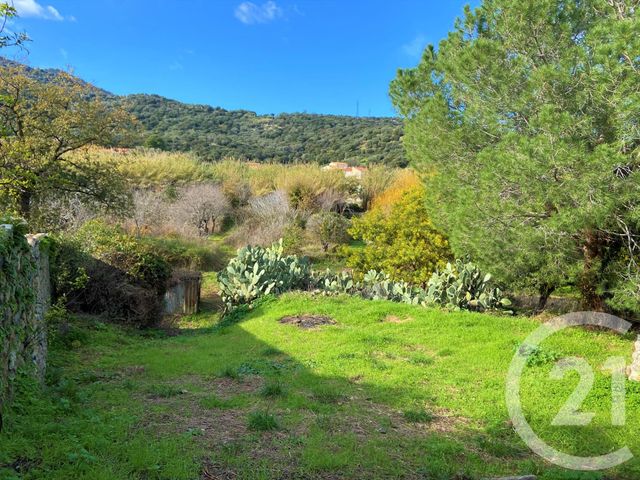 terrain à vendre - 3370.0 m2 - SANTA REPARATA DI BALAGNA - 202 - CORSE - Century 21 Dary Immobilier