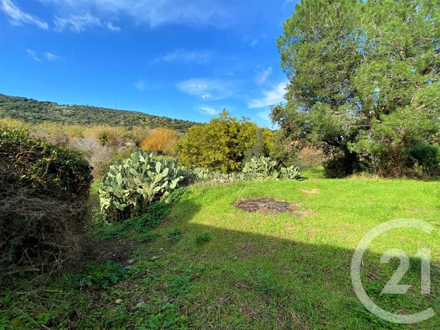 terrain à vendre - 3370.0 m2 - SANTA REPARATA DI BALAGNA - 202 - CORSE - Century 21 Dary Immobilier