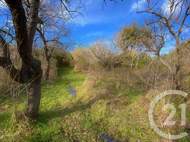 terrain à vendre - 3370.0 m2 - SANTA REPARATA DI BALAGNA - 202 - CORSE - Century 21 Dary Immobilier