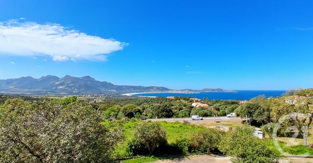 appartement - LUMIO - 202