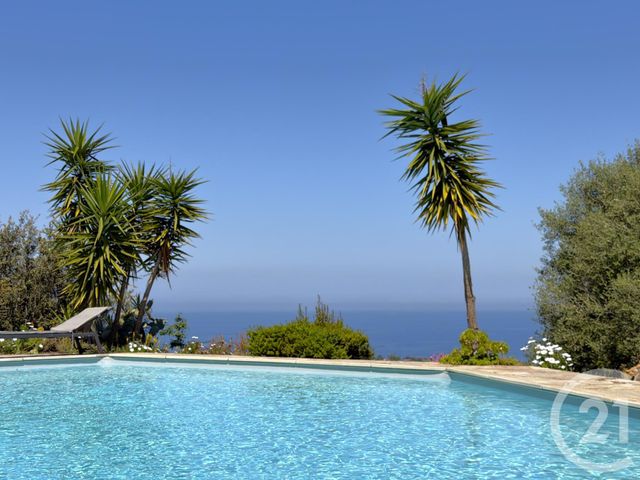 maison à vendre - 8 pièces - 242.28 m2 - MONTICELLO - 202 - CORSE - Century 21 Dary Immobilier