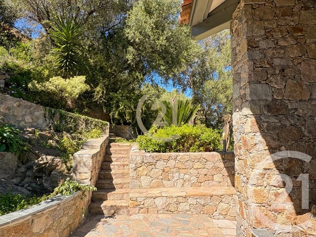 maison à vendre - 8 pièces - 242.28 m2 - MONTICELLO - 202 - CORSE - Century 21 Dary Immobilier