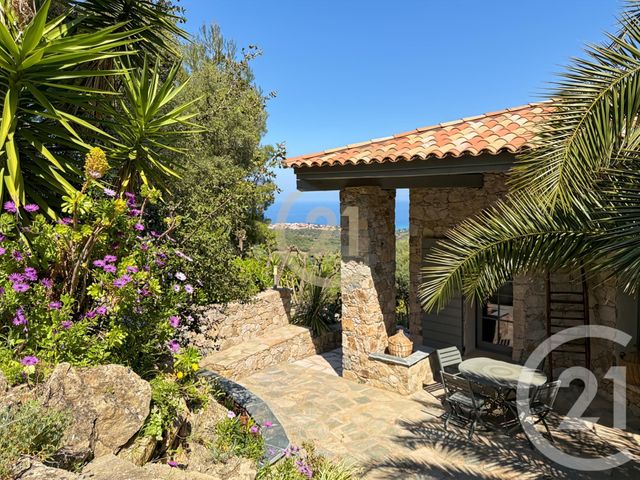 maison à vendre - 8 pièces - 242.28 m2 - MONTICELLO - 202 - CORSE - Century 21 Dary Immobilier