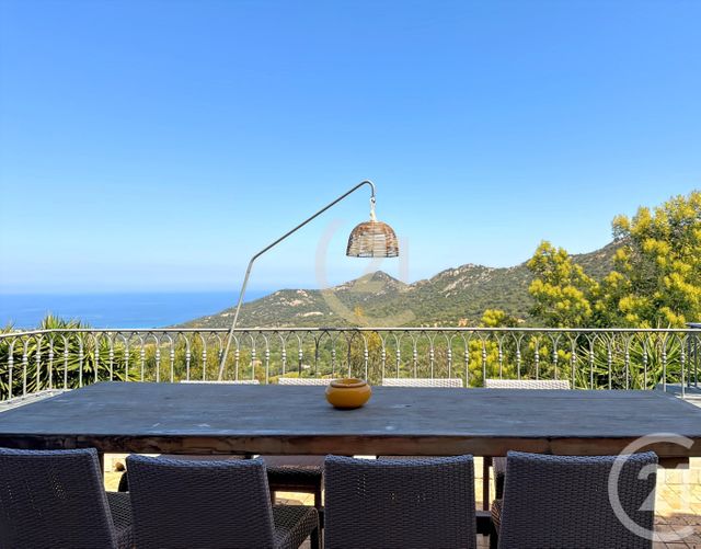 maison à vendre - 8 pièces - 242.28 m2 - MONTICELLO - 202 - CORSE - Century 21 Dary Immobilier