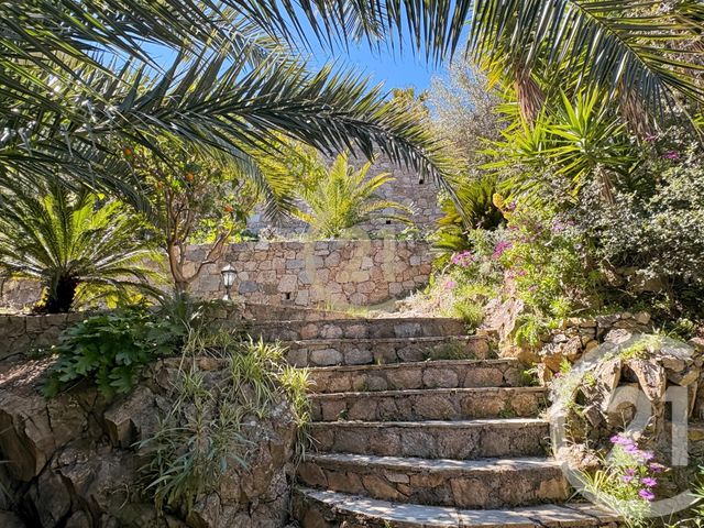 maison à vendre - 8 pièces - 242.28 m2 - MONTICELLO - 202 - CORSE - Century 21 Dary Immobilier