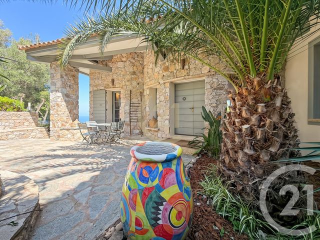 maison à vendre - 8 pièces - 242.28 m2 - MONTICELLO - 202 - CORSE - Century 21 Dary Immobilier