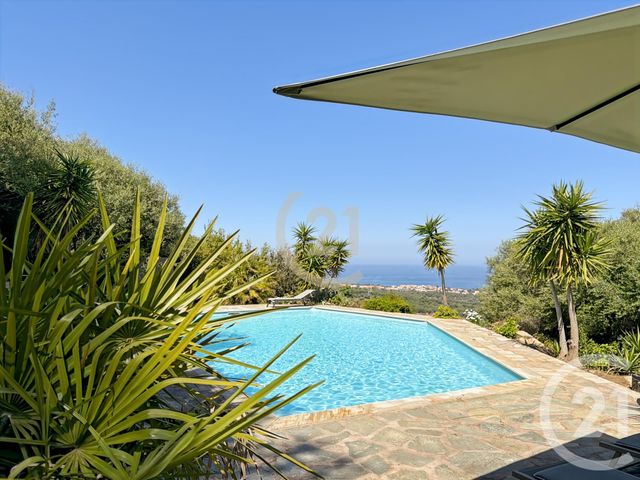maison à vendre - 8 pièces - 242.28 m2 - MONTICELLO - 202 - CORSE - Century 21 Dary Immobilier