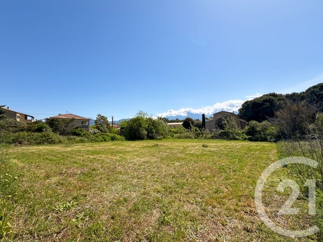 Terrain à vendre CALVI