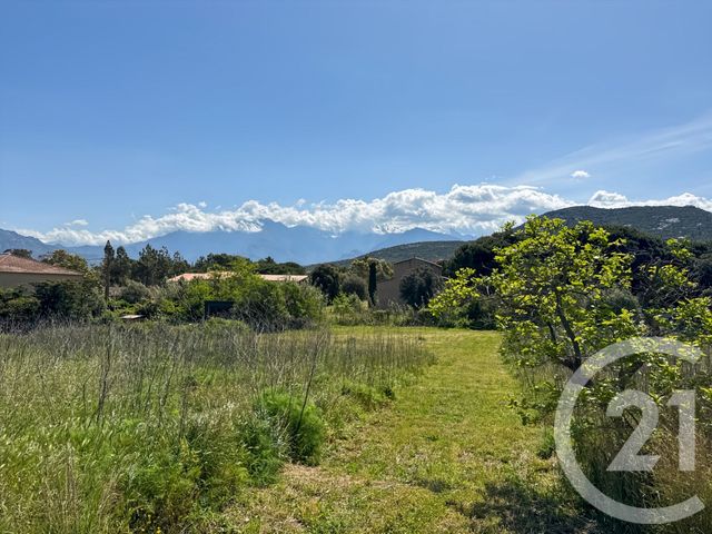 terrain à vendre - 1021.0 m2 - CALVI - 202 - CORSE - Century 21 Dary Immobilier