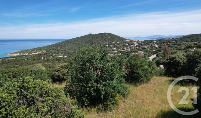 terrain à vendre - 3119.0 m2 - CORBARA - 202 - CORSE - Century 21 Dary Immobilier