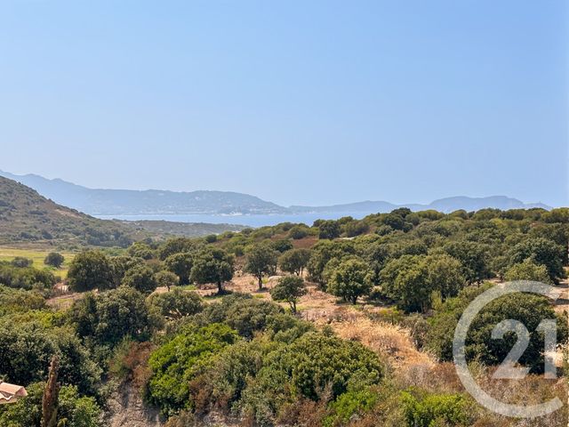 Appartement F3 bis à vendre - 3 pièces - 66.26 m2 - LUMIO - 202 - CORSE - Century 21 Dary Immobilier