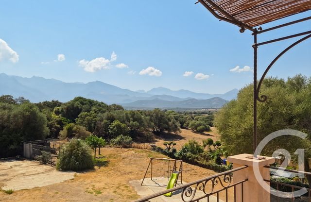 maison à vendre - 9 pièces - 282.0 m2 - LUMIO - 202 - CORSE - Century 21 Dary Immobilier