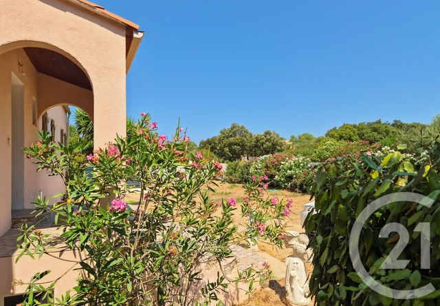 maison à vendre - 9 pièces - 282.0 m2 - LUMIO - 202 - CORSE - Century 21 Dary Immobilier