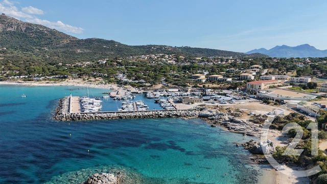 Appartement F1 à vendre LUMIO