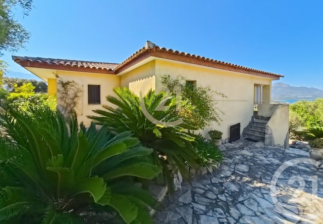 maison à vendre - 4 pièces - 83.4 m2 - LUMIO - 202 - CORSE - Century 21 Dary Immobilier